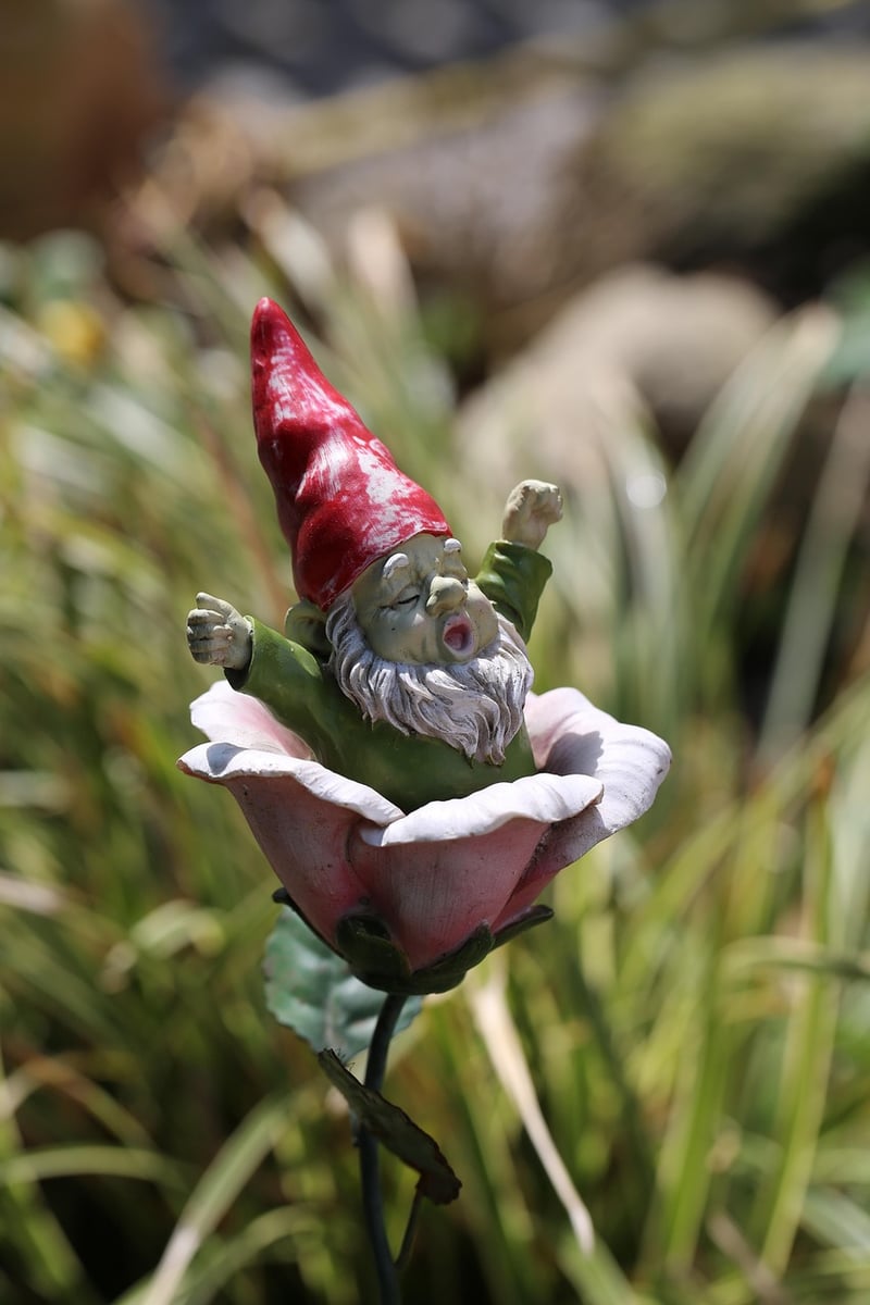 Gnome in garden