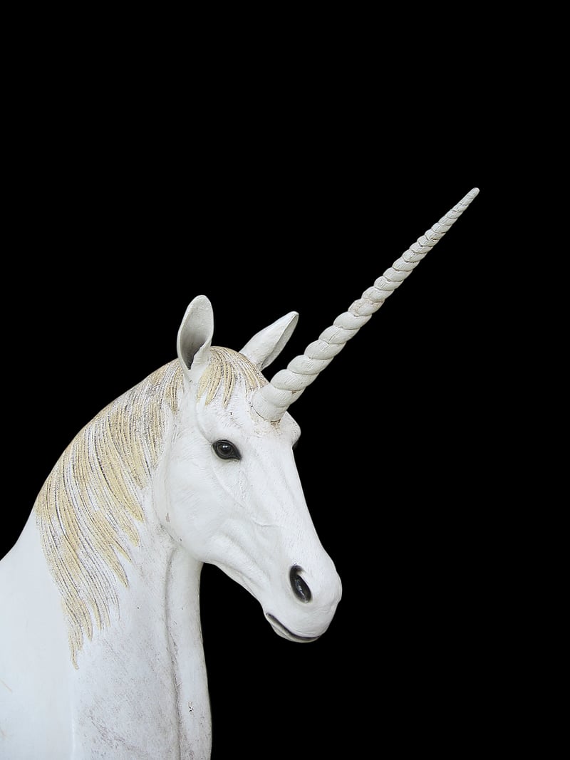 Unicorn Grass